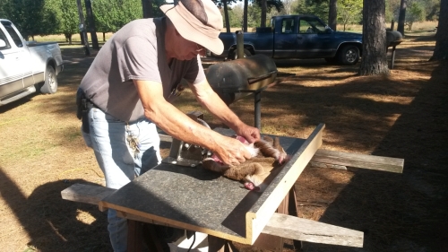 2016 Elks Deer Hide Program